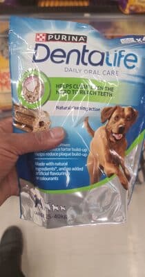 Snack Cão Dentalife Purina Raça Grande
