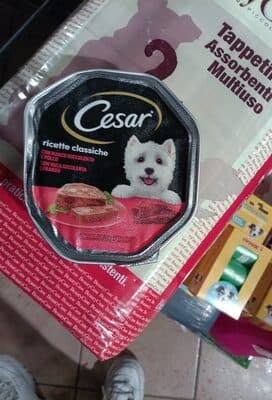Comida Húmida para Cão Terrina Cesar com Vaca em Patê