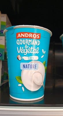 Cremoso Andros Leite de Côco Natural