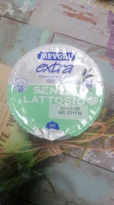 Iogurte Mevgal sem Lactose Grego Natural 2%