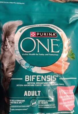 Ração para Gato Purina ONE com Salmão e Arroz