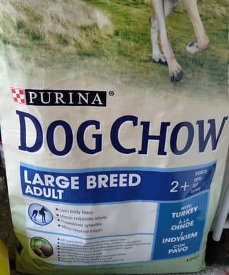 Ração para Cão Dog Chow Raça Grande com Peru