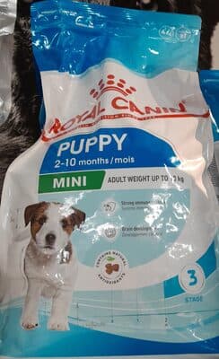 Ração Cão Royal Canin Mini Junior