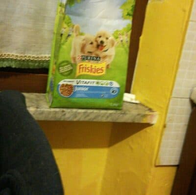 Ração para Cão Friskies Júnior com Frango
