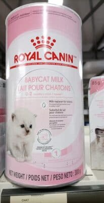 Leite para Gatos Royal Canin