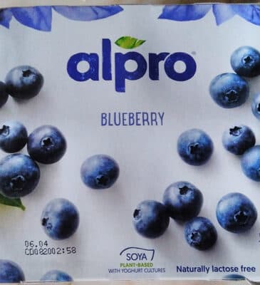 Yofu Alpro Soja Mirtilo