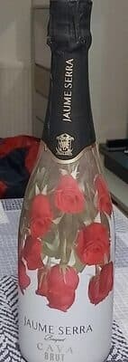Espumante Jaume Sierra Bouquet Brut