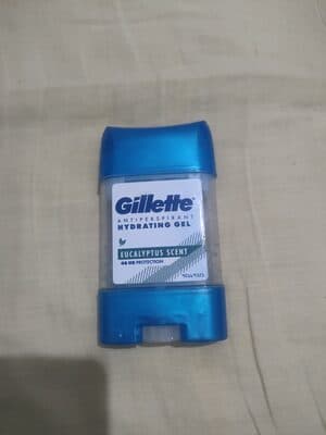 Deo Stick Gillette Homem Gel Eucalipto