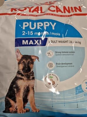 Ração Cão Royal Canin Maxi Junior