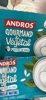 Cremoso Andros Leite de Coco Fermentado Natural