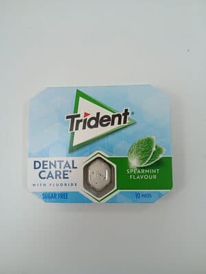 Pastilhas Trident Oral-B Elásticas Spearmint