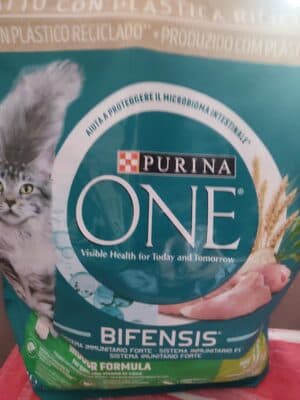 Ração para Gato Purina ONE Indoor com Peru